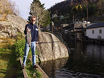 Seien trodde at den var en sjøørret!